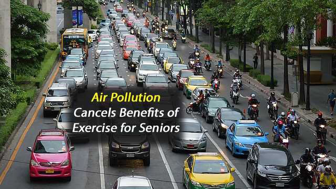 City Air Pollution Cancels Positive Health Effects of Exercise in Over 60's