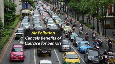 City Air Pollution Cancels Positive Health Effects of Exercise in Over 60's
