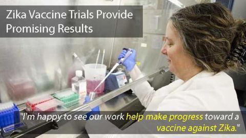 Zika Vaccine Trials Provide Promising Results