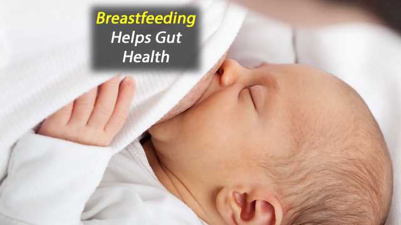 Probiotic Gets a Boost from Breast Milk