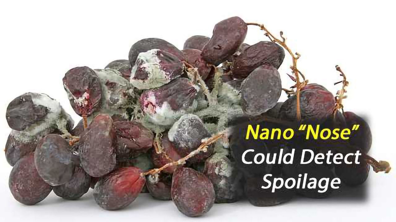Bioelectronic ‘Nose’ Can Detect Food Spoilage by Sensing the Smell of Death