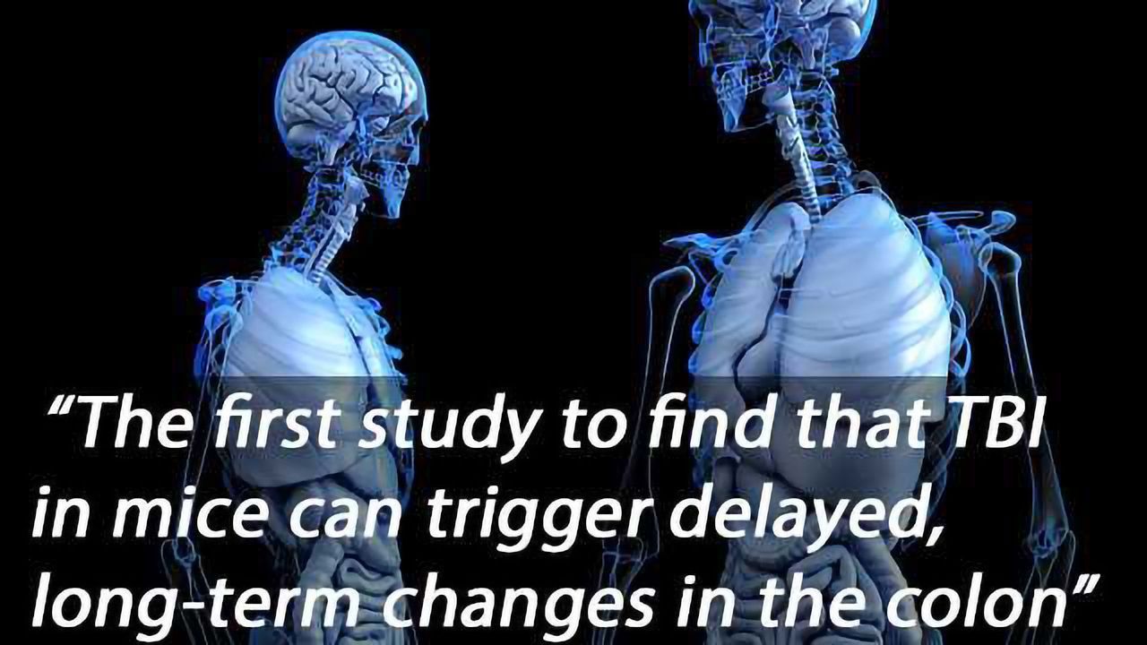 Traumatic Brain Injury Causes Intestinal Damage
