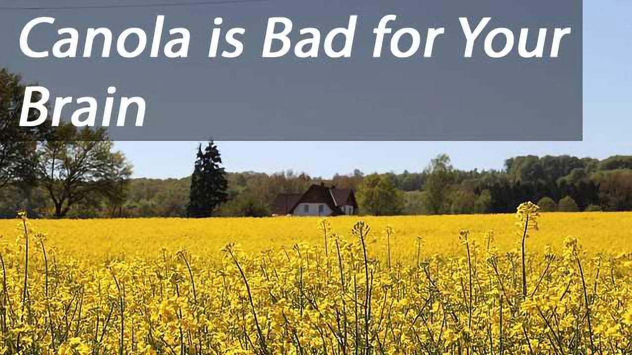 Canola Oil Linked to Worsened Memory in Alzheimer's Disease