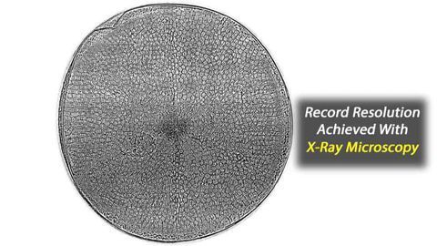 Novel Lenses Enable X-ray Microscopy with Record Resolution