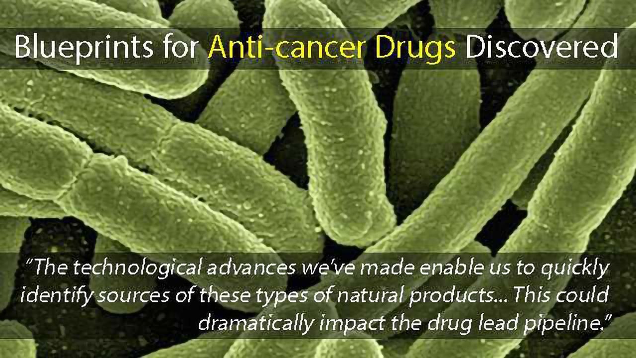Blueprints for Anti-cancer Drugs Identified in Bacterial Genomes