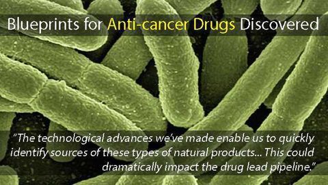 Blueprints for Anti-cancer Drugs Identified in Bacterial Genomes