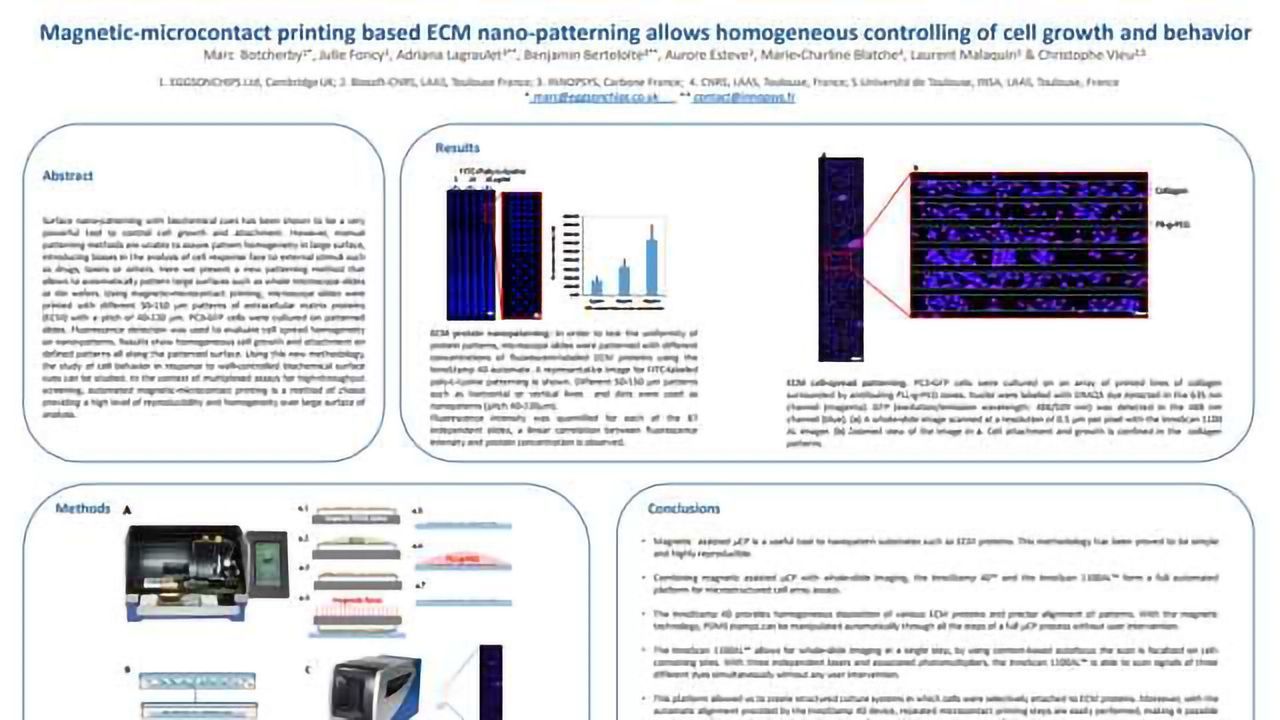 Magnetic-microcontact printing based ECM nano-patterning allows homogeneous controlling of cell growth and behavior