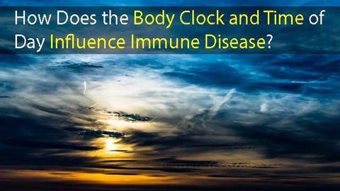 Severity of Autoimmune Disease Influenced by Time of Day