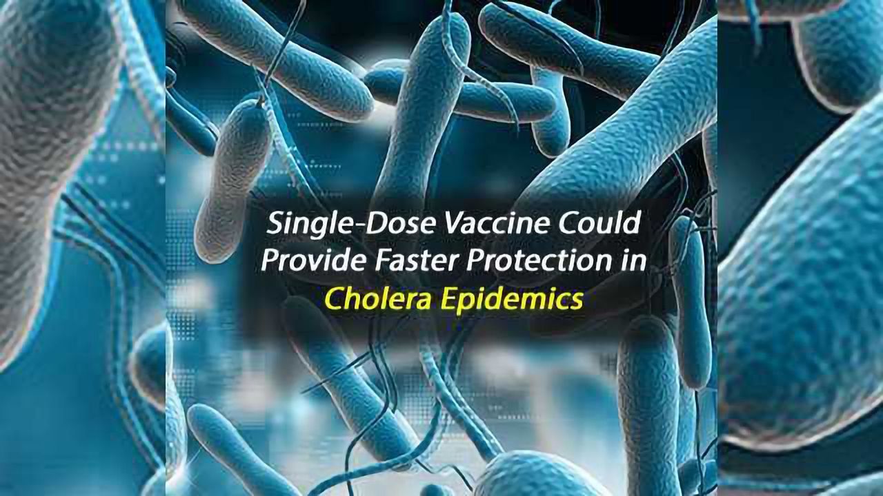 Single-Dose Vaccine Could Provide Faster Protection in Cholera Epidemics