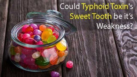 The Discovery of Typhoid Toxin's Sweet Tooth Could Lead to New Treatments