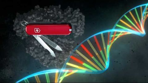 Searching for the CRISPR Swiss-army Knife