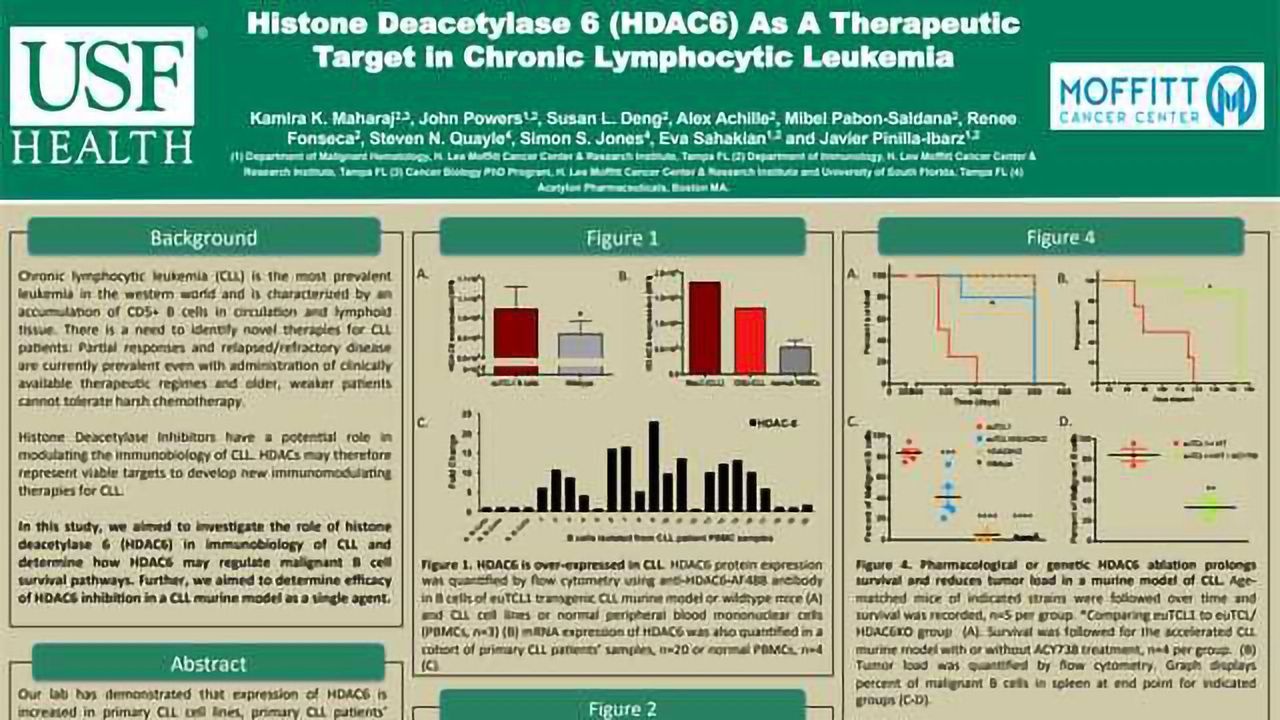 Histone Deacetylase 6 (HDAC6) As A Therapeutic Target in Chronic Lymphocytic Leukemia