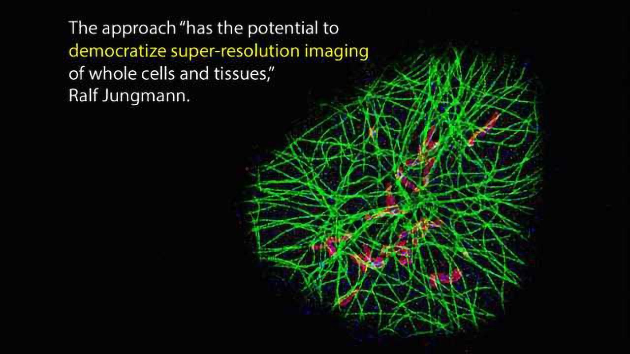 Visualizing Single Molecules in Whole Cells with a New Spin
