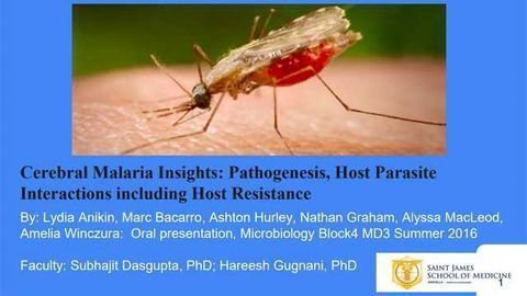 Cerebral Malaria Insights: Pathogenesis, Host Parasite Interactions including Host Resistance