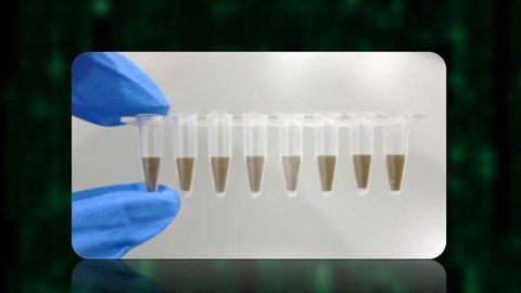JN Medsys Introduces New Generation Digital PCR System