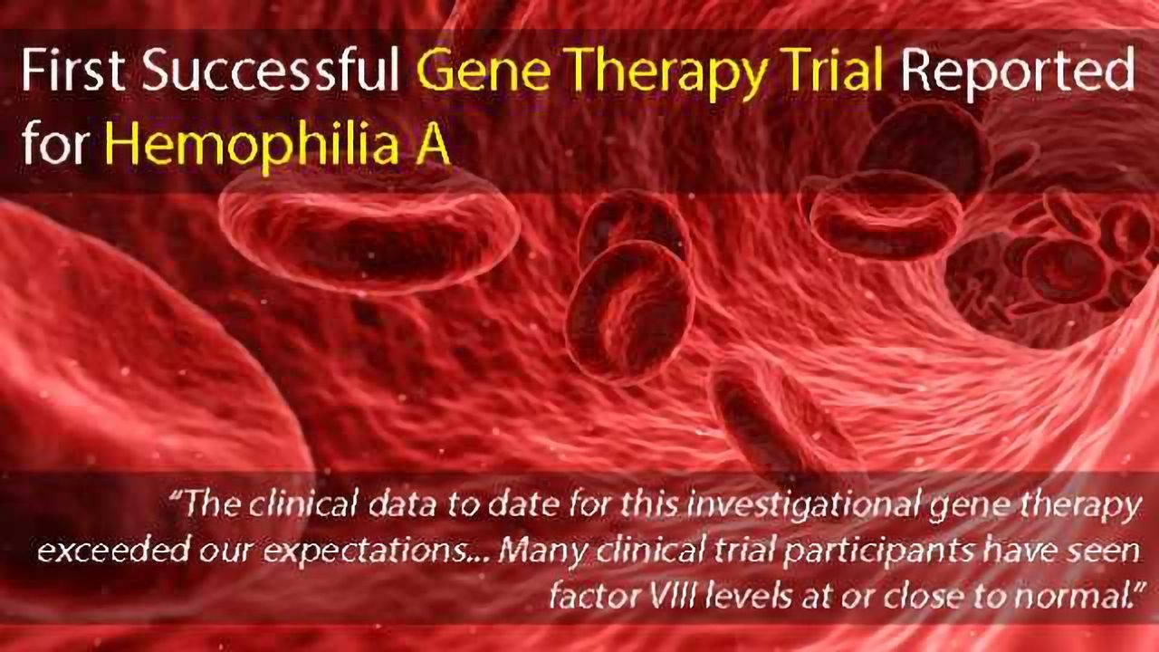 First Successful Gene Therapy Trial Reported for People with Hemophilia A