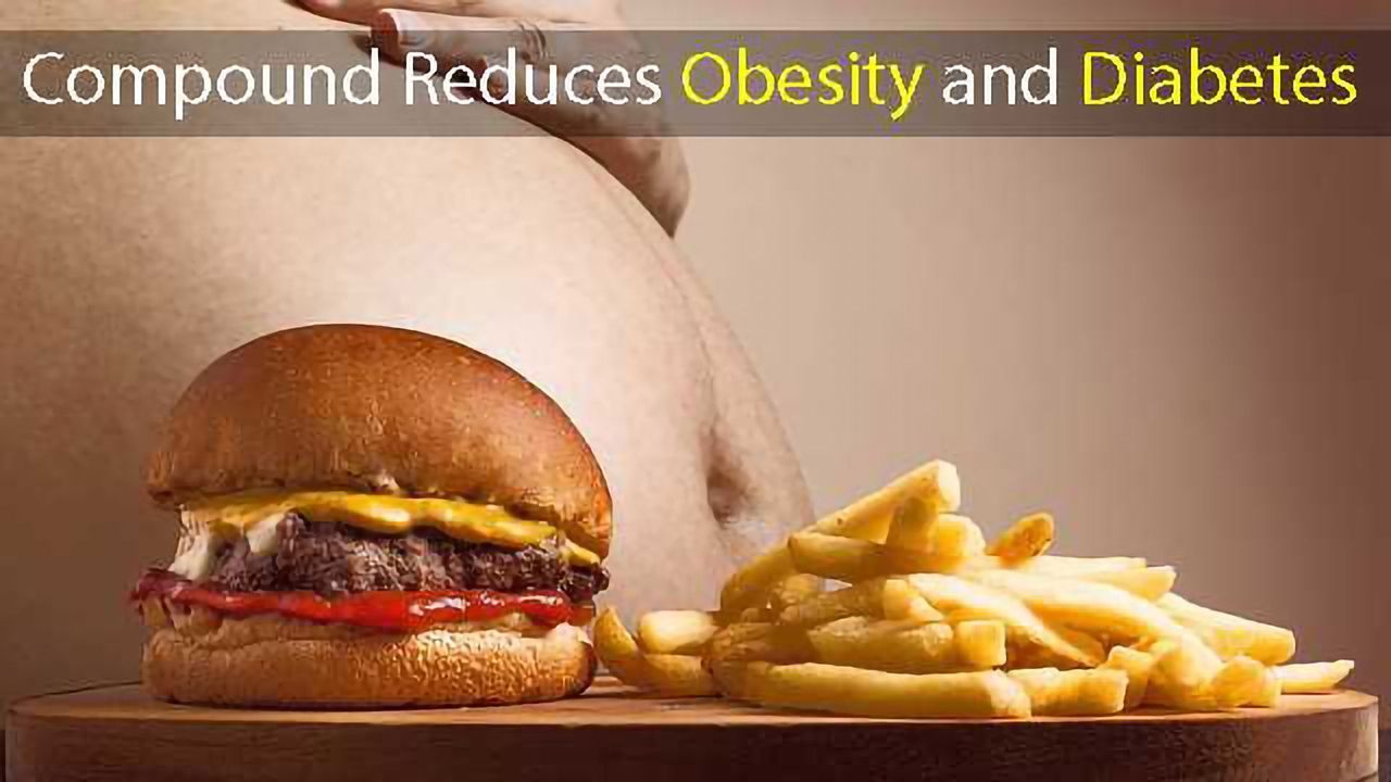 Anti-stress Compound Reduces Obesity and Diabetes
