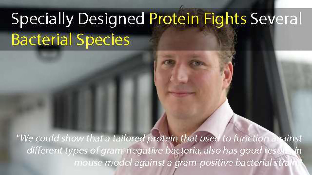 Tailor-made Protein Fights Several Species of Bacteria