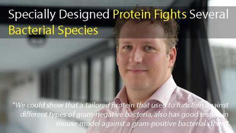 Tailor-made Protein Fights Several Species of Bacteria