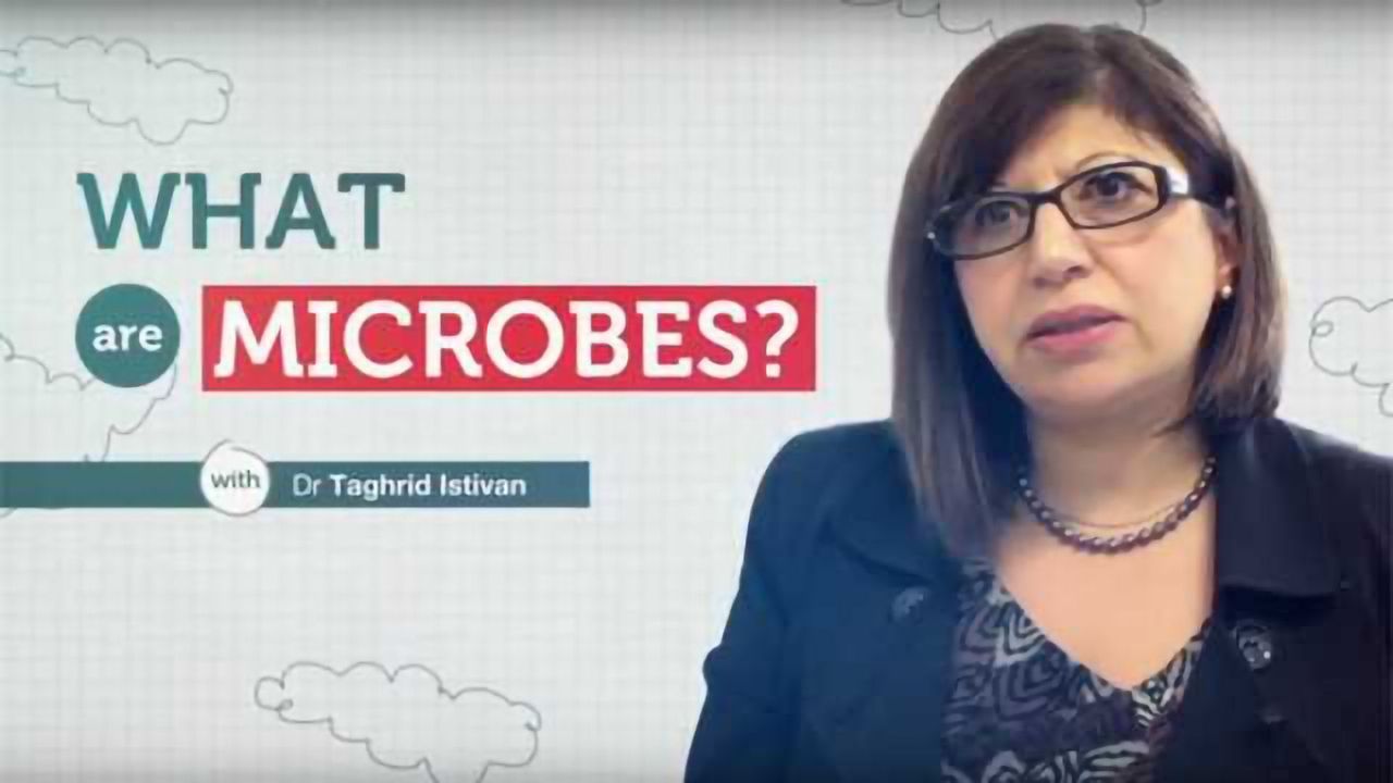 What Are Microbes?