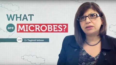 What Are Microbes?