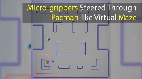 Micro-grippers Steered Through Pacman-like Virtual Maze