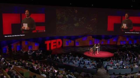 Can Groups Make Good Decisions? Neuroscientists Explain