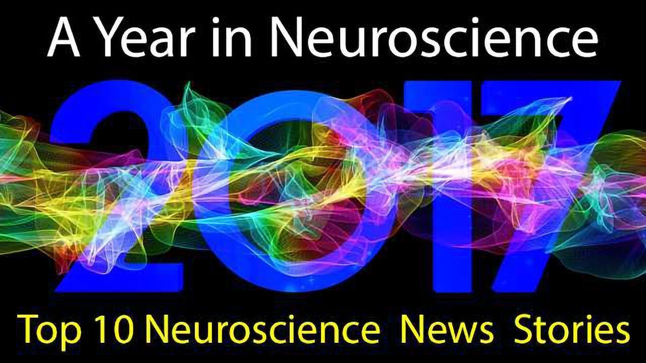 Top 10 Neuroscience News Stories of 2017