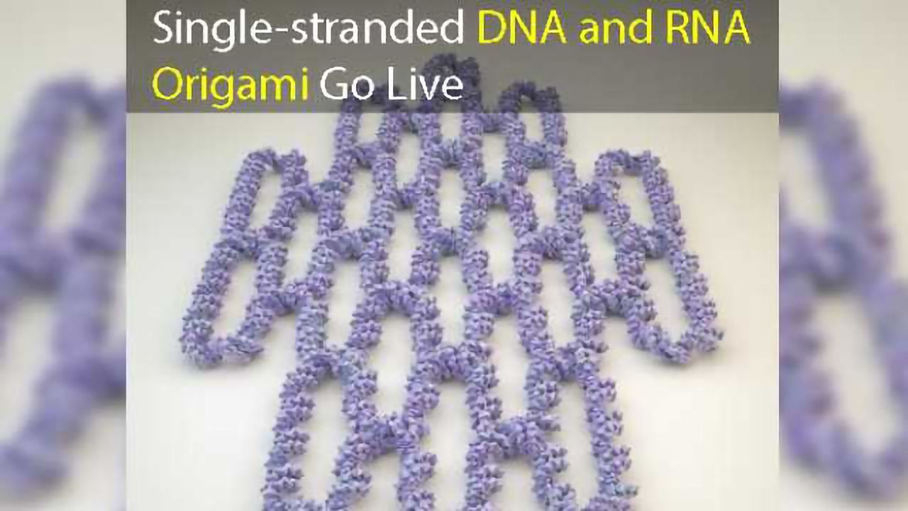 Single-stranded Origami Technology Drives Drug Delivery Systems and Pharmaceutical Nanofactories Forward