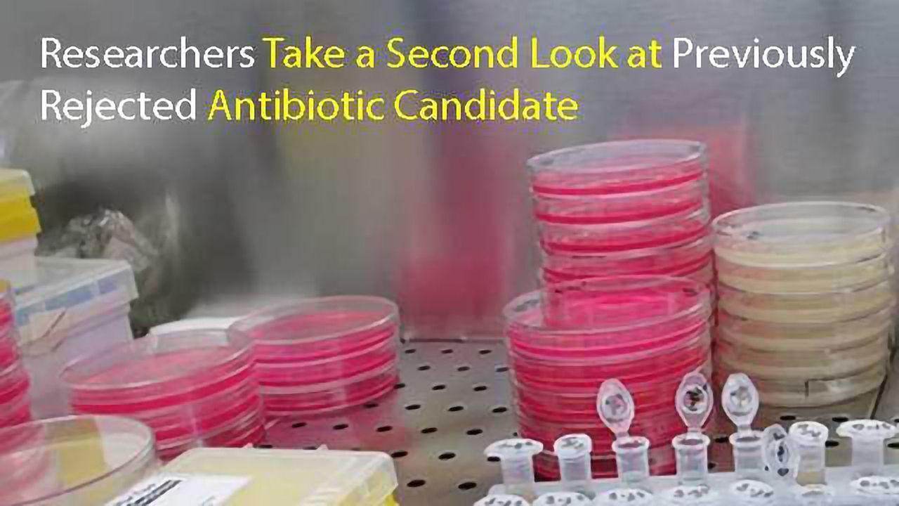 Researchers Take a Second Look at Previously Rejected Antibiotic Candidate