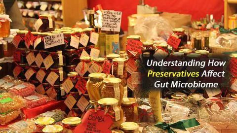 Understanding How Food Preservatives Affect Gut Microbiome