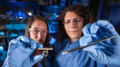 'Brain-on-a-Chip' Tests Effects of Biological and Chemical Agents