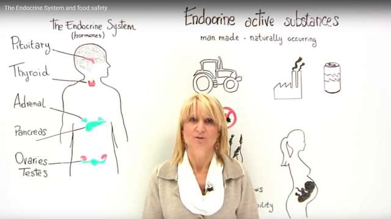 The Endocrine System and Food Safety