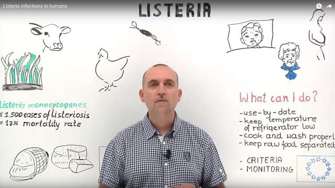 Listeria infections in humans