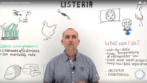 Listeria infections in humans