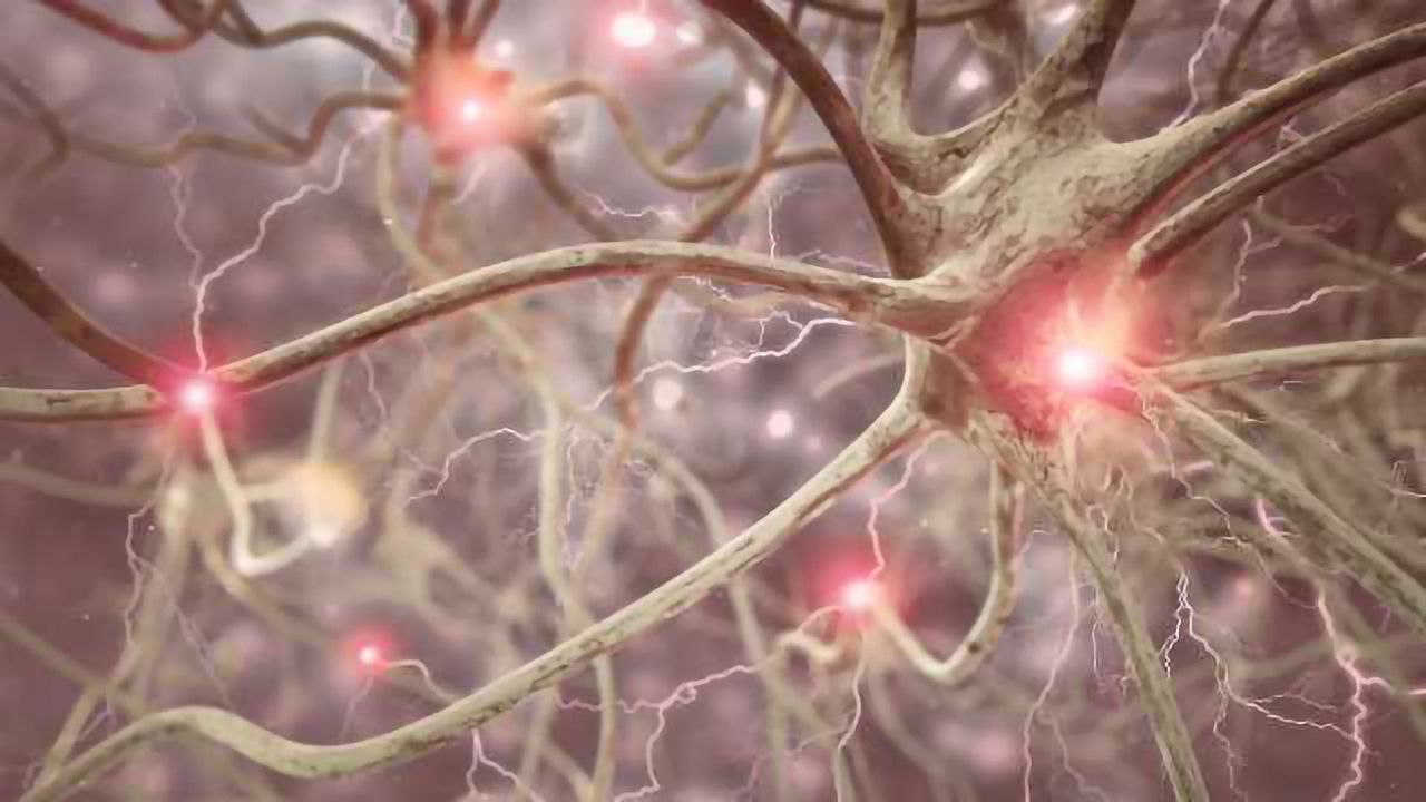 Neuroinformatics and The Blue Brain Project