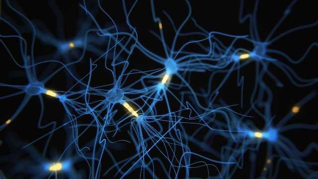 Building the Blue Brain Nexus