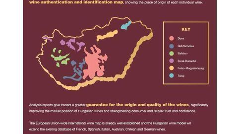 NMR Technology in the Authentication and Identification of Hungarian Wines