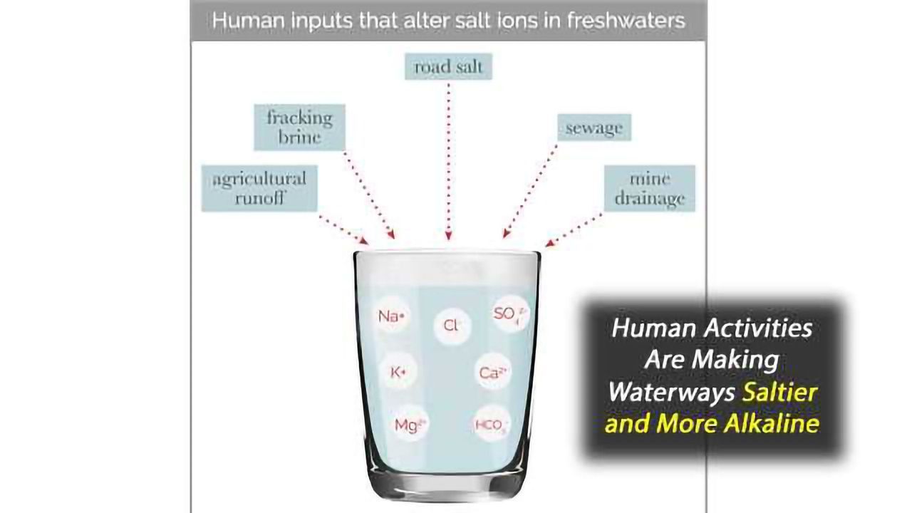 Waterways Are Becoming Saltier and More Alkaline