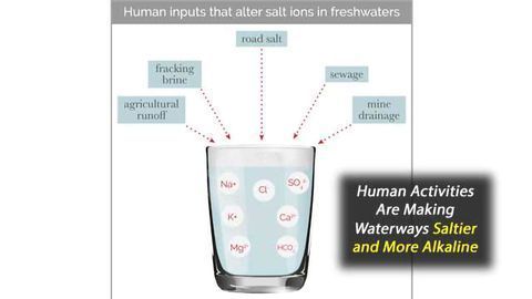 Waterways Are Becoming Saltier and More Alkaline