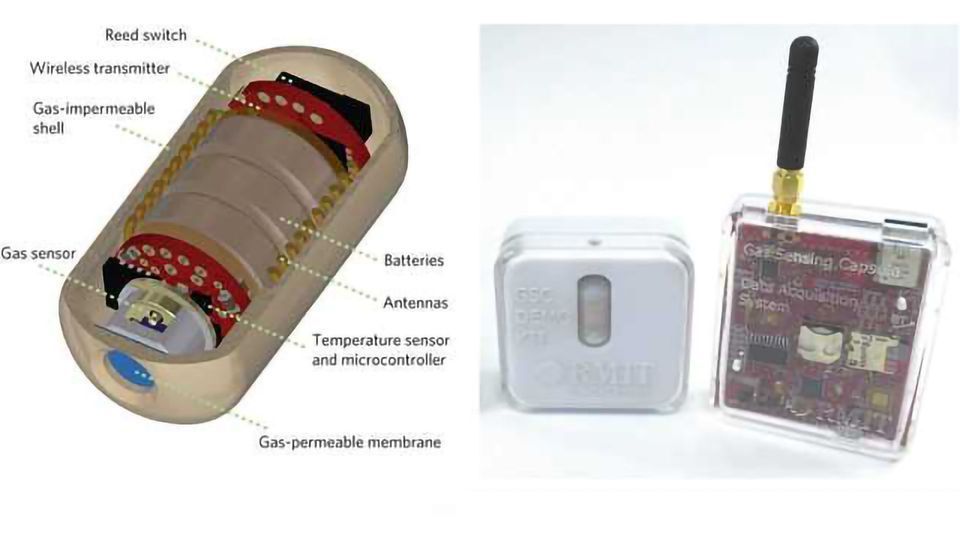 Indigestible Electronic Capsule Analyses Gut Gases Technology Networks
