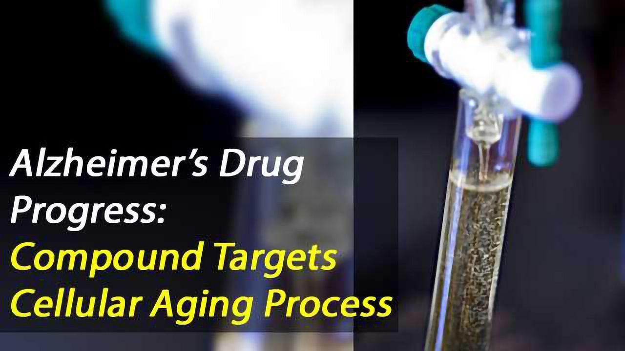 Targeting Mitochondrial ATP Synthase to Treat Alzheimer's