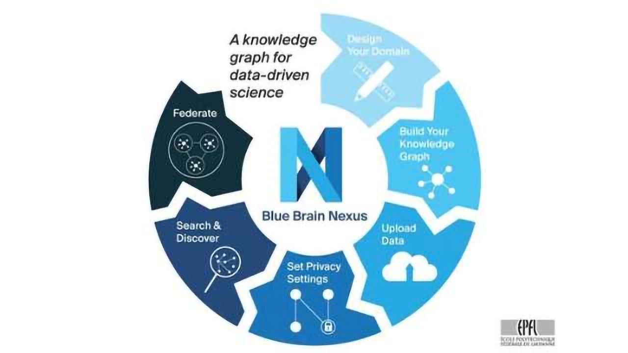Blue Brain Nexus: An Open-Source Tool for Data-Driven Science