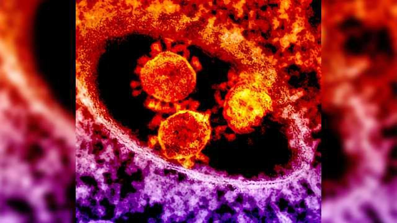Safety and Efficacy of MERS Treatment Confirmed in Phase I Trial
