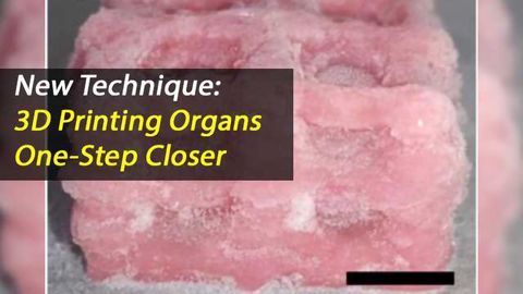 3D Printing Replicates Super-Soft Body Tissue