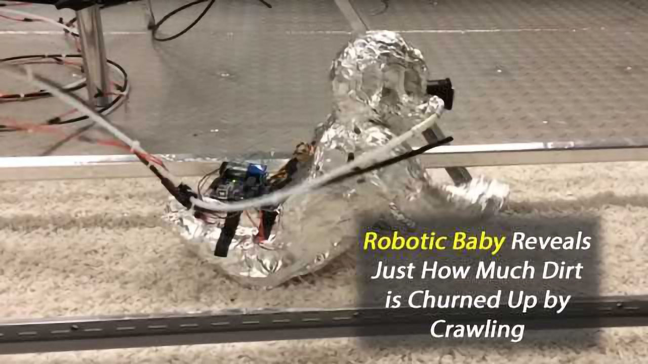 Crawling Exposes Babies to "Good" Dirt