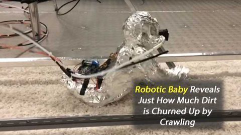 Crawling Exposes Babies to "Good" Dirt