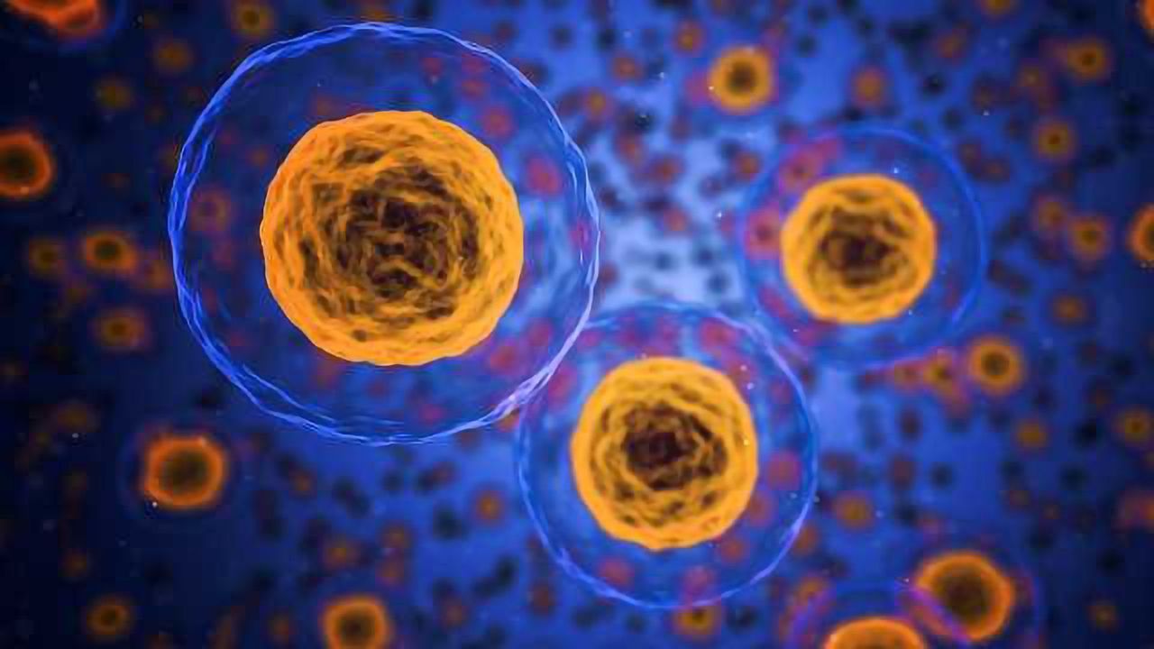 Innate Immune Cells Reprogrammed to Fight Tuberculosis