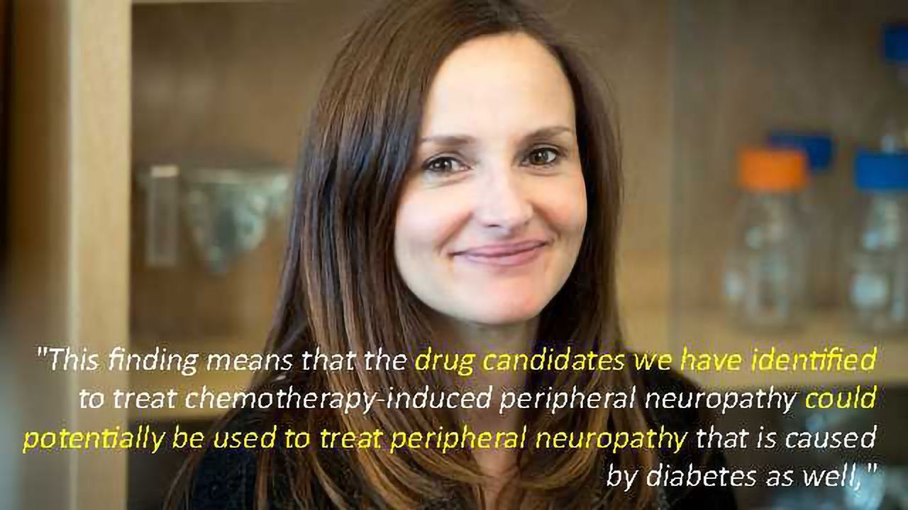 Discovery Could Lead to New Therapies for Diabetics