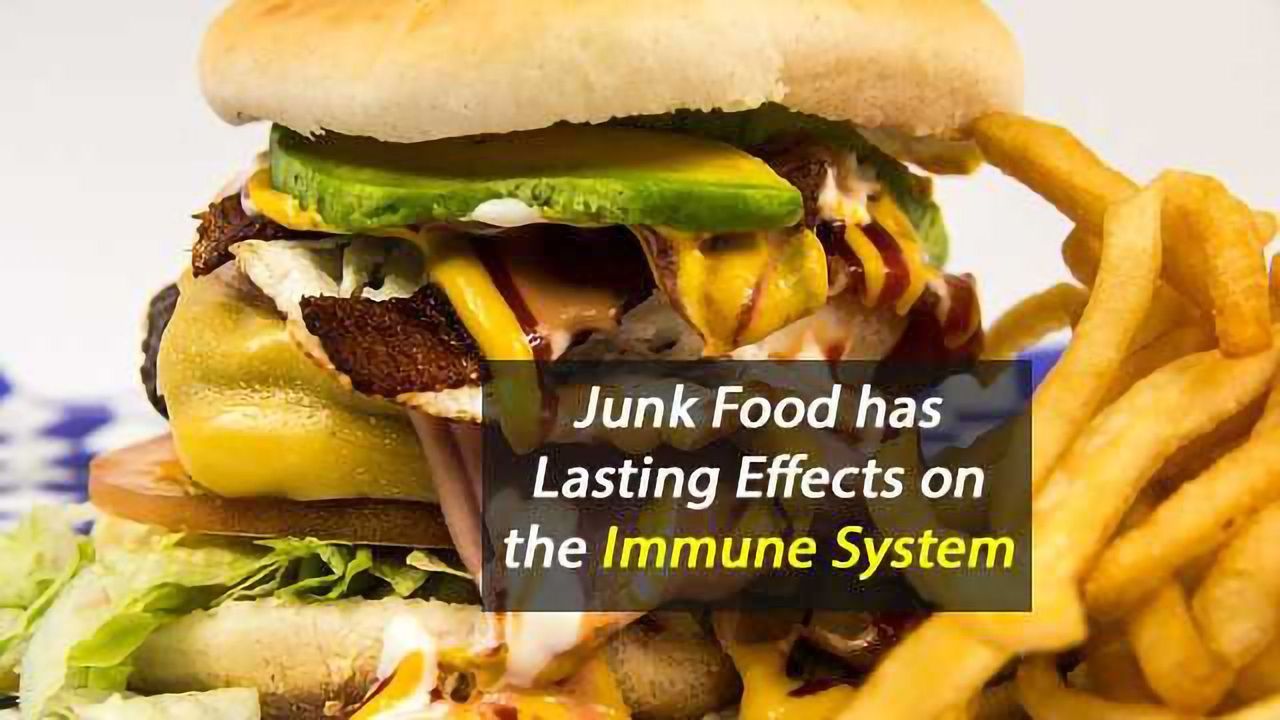 Junk Food Has Lasting Effects on the Immune System